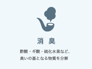 消臭 酢酸・ギ酸・硫化水素など、臭いの基となる物質を分解